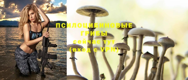 ALPHA PVP Балабаново